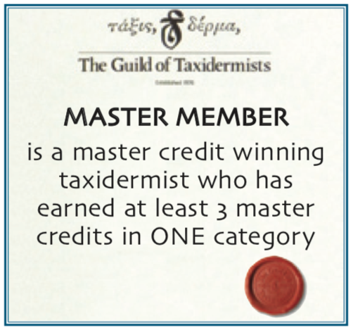 Master Member certificate