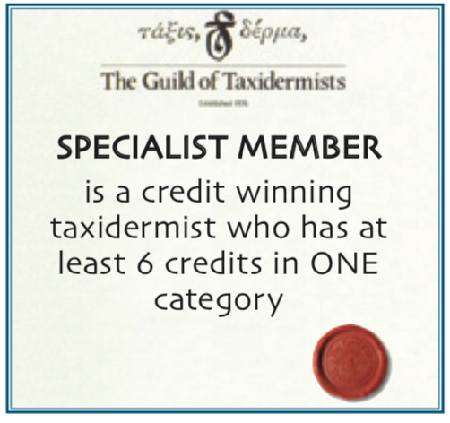 Specialist Member certificate
