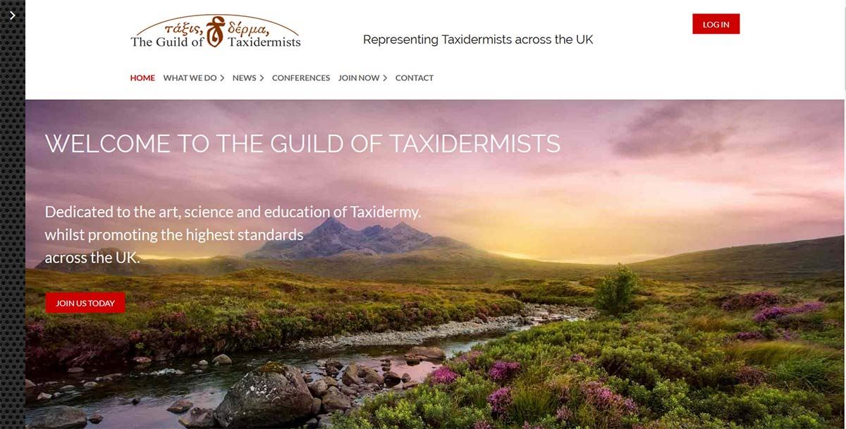 Taxidermist Website